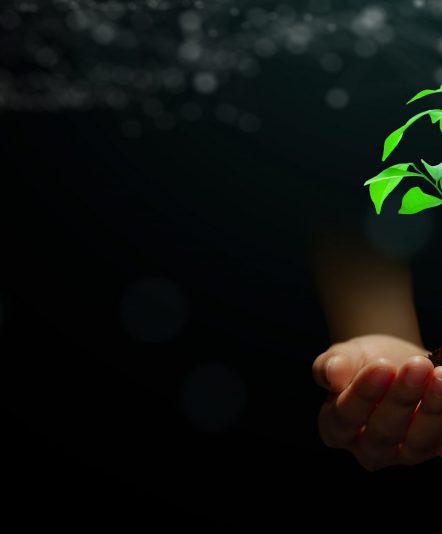 Hand holding young plant with soil on abstract green background with technology wireframe. Nature technology, Ethics, Saving environment, Ecology, Eco earth day Concept.